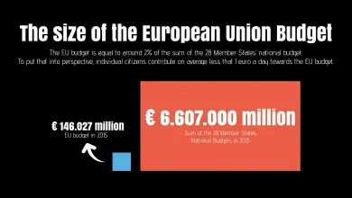 EU Budget Contributions